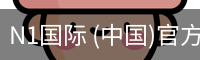 N1国际